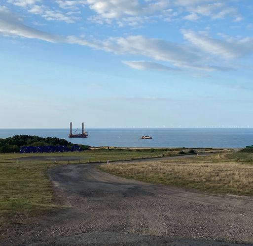 Final Trainee Blog Post