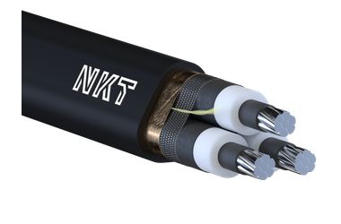 Image of AXCES