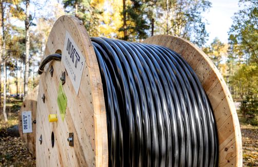 Cable drum woods forest outdoor