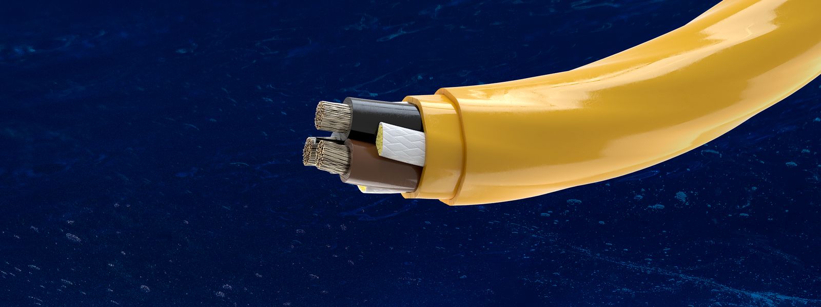 Dynamic Cable