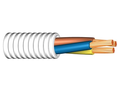 Image of Twisted FQ 450/750 V cable